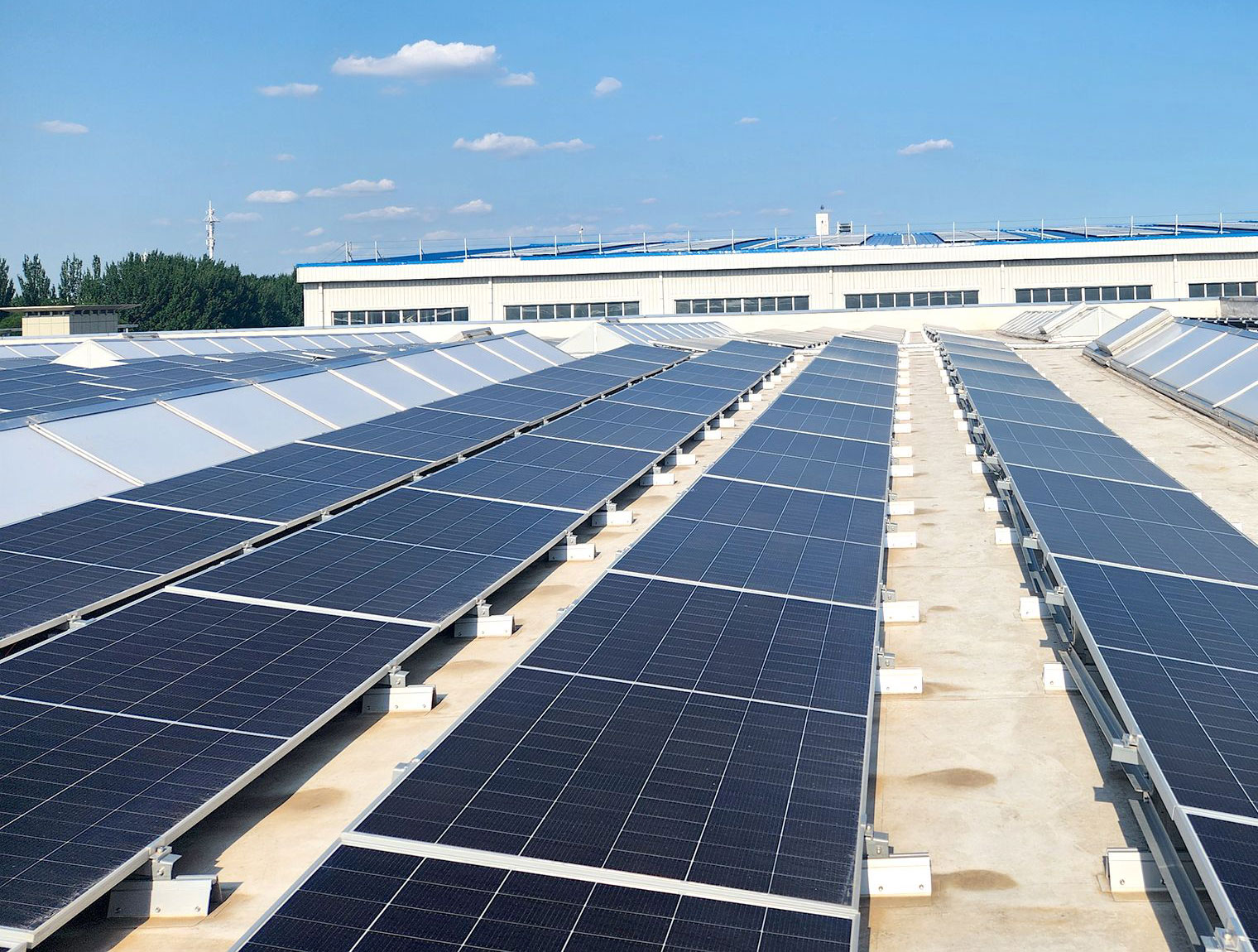 Solar panels installed in long rows on a flat rooftop beneath a clear blue sky.